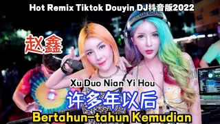 赵鑫 - 许多年以后(DJ抖音版)Xu Duo Nian Yi Hou【Bertahun-tahun Kemudian/ Many Years Later】Indonesian Translation