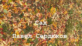 Сад. Павел Сердюков.