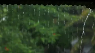 বৃষ্টির শব্দ। টিনের চালে বৃষ্টির শব্দ। rain sound