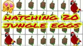 Hatching 20 jungle Eggs In Adopt Me