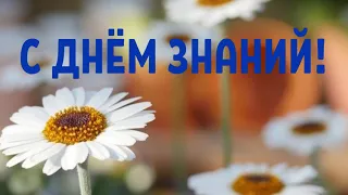 САМОЕ КРАСИВОЕ ПОЗДРАВЛЕНИЕ С ДНЕМ ЗНАНИЙ! С 1 СЕНТЯБРЯ! ПОЗДРАВЛЕНИЕ С 1 СЕНТЯБРЯ! День Знаний