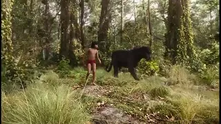 The jungle book best scene (in hindi)