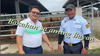 Aurora Premium Cattle Farm: Bakahan sa aming Nayon ng Aurora Isabela. VLOG 48