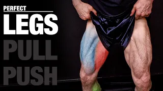 The PERFECT Legs Workout (PUSH | PULL | LEGS)