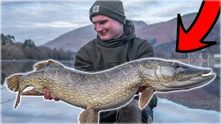 Catching HUGE pike in the Lake District! (this was insane)