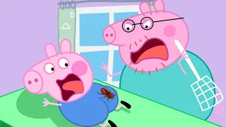 What Happened To George Pig ?! | Peppa Pig Funny Animation