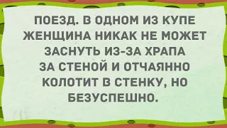 В одном из купе женщина никак не может заснуть... Сборник Свежих Анекдотов! Юмор!