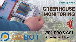 Easy Greenhouse Monitoring: UbiBot WS1-Pro and GS1! (Short Episode)