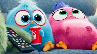 THE ANGRY BIRDS MOVIE 2 - 11 Minutes Clips + Trailers (2019)