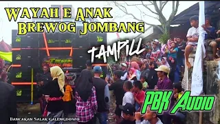 Aura Brewog di Karnaval bancakan Salak Wonosalam|| PBK Audio Jombang