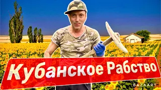 Уехали на Кубань! Жизнь в Станице. Рыбалка на Кубани! База отдыха на реке!