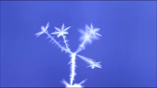 Snowflake Science: Time-lapse 2