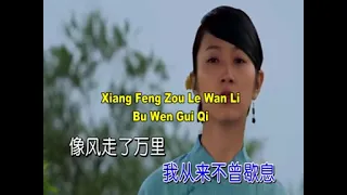 TING WEN YUAN FANG YOU NI ( 听闻远方有你 )PINYIN LYRICS