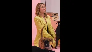 Elizabeth Olsen overwhelmed by rambunctious puppies #shorts #puppyinterview