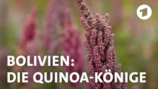 Superfood Quinoa: Bauern in Bolivien fürchten um ihre Existenz | Weltspiegel-Reportage