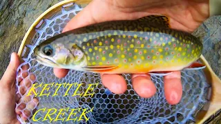 The Kettle Creek Experience - INCREDIBLE PA Native Brook Trout