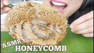 ASMR RAW HONEYCOMB (STICKY SOFT BUBBLY CRUNCH EATING SOUNDS) NO TALKING | SAS-ASMR