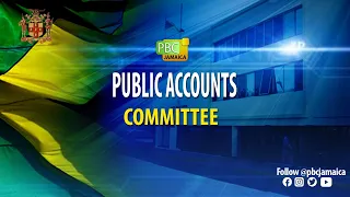 Public Accounts Committee - April 20, 2021