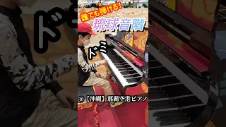 かんたん【誰でも弾ける♪】琉球音階！沖縄那覇空港ピアノで弾いてみた♪