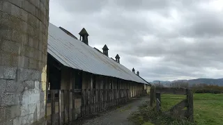 Historic Skagit County mental institution gets a second life - Beyond Abandoned - KING 5 Evening