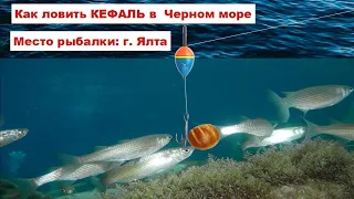 Рыбалка на кефаль.Ловля кефали с берега в черном море в Крыму.