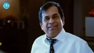 Don Seenu Movie   Brahmanandam  Back To Back Comedy