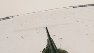 Охота на зайца зимой