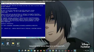 Windows XP BSOD Compilation 163