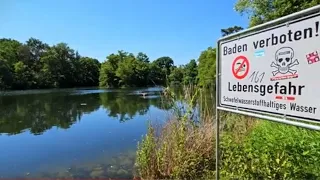 Silbersee in Nürnberg mit INFOSℹ️  (Er zählt zu den giftigsten Gewässern in Deutschland)