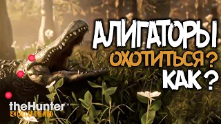 theHunter  Call of the Wild - АЛЛИГАТОРЫ - Как на них охотится