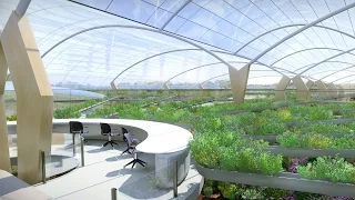 The Fascinating Solution To Sustainable Agriculture! Agricultural Revolution | Amazing Earth