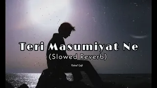 Teri Masumiyat Ne Banjara Bana Diya (Slowed & Revarb) Lofi