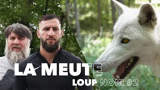 Je pars à la rencontre d'une meute de loups - LOUP NOIR #2