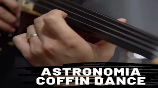 Coffin Dance - Astronomia | Violin Cover Song | Vineeth Wilson