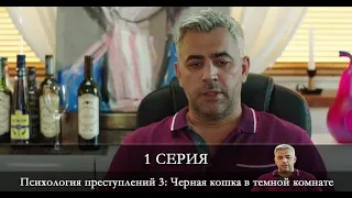 Психология преступлений 3: Черная кошка в темной комнате 3 сезон 1 серия [обзор]