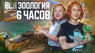 Вся зоология за 6 часов | ЕГЭ-2024 по биологии