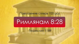 Тефиллин. Римлянам 8:28. Повторение стихов 100 раз.