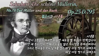 Schubert: 아름다운 물레방앗간 아가씨 No.19 Der Müller und der Bach(젊은이와 시냇물)