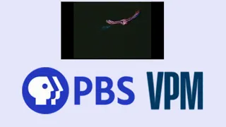 The Updated PBS Logos and Idents as of 2022!