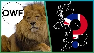 Wild LIONS In Britain? | One Wild Fact | Earth Unplugged