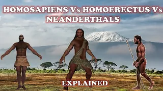 Did The Homo erectus, Homo sapiens And Neanderthals Co-exist ? | Explained  2020