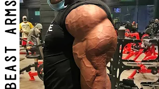 BEAST ARMS - LET'S BUILD TRICEPS AND BICEPS - ROELLY WINKLAAR MOTIVATION 🔥🔥 2022