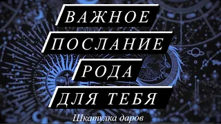 ВАЖНОЕ ПОСЛАНИЕ РОДА ТВОЕГО🔑#таро#шкатулкараскладов#даров#терапия#расклад