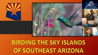 Birding the Sky Islands of Arizona AUG 14 2020