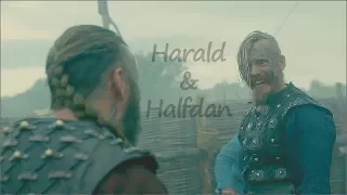 Vikings || King Harald & Halfdan [Tribute]