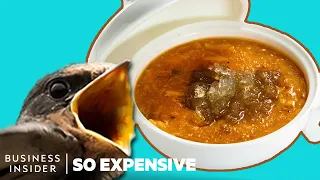 Why Bird's Nest Soup Is So Expensive | So Expensive