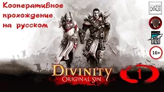 Divinity: Original Sin [кооператив] #1