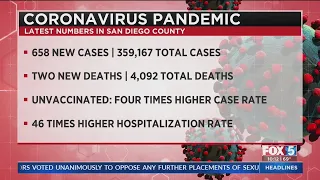 658 New COVID-19 Infections, 2 Deaths Reported In San Diego County