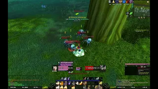 [Turtle WoW] Protection Paladin AoE grinding