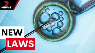 New laws to overhaul dodgy practices in Queensland's unregulated IVF industry | 7 News Australia